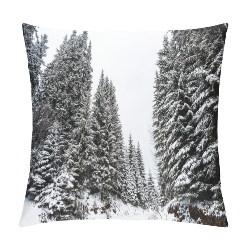 Personality  Scenic View Of Pine Trees Covered With Snow In Mountains Pillow Covers