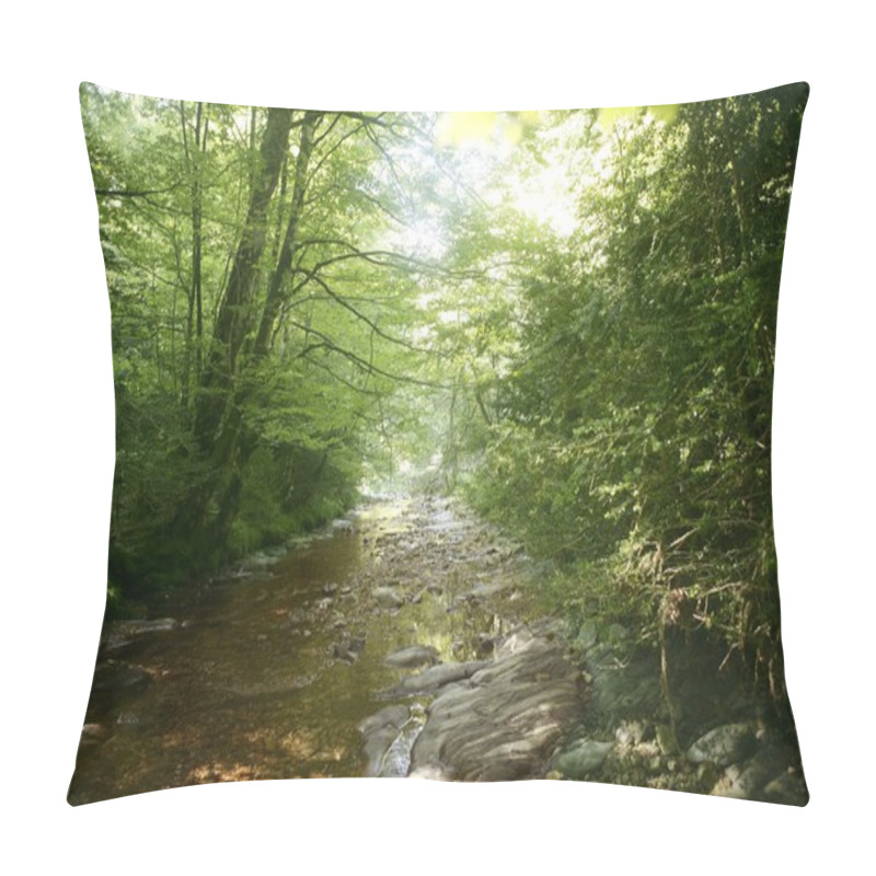 Personality  Beech Forest Trees With River Flow Under Pillow Covers