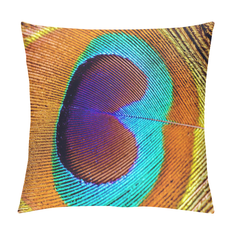 Personality  Peacock Feather Macro Pillow Covers