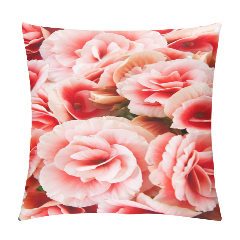 Personality  Close-up Of Pink Begonias Showing Their Textures, Patterns And Details. Pillow Covers