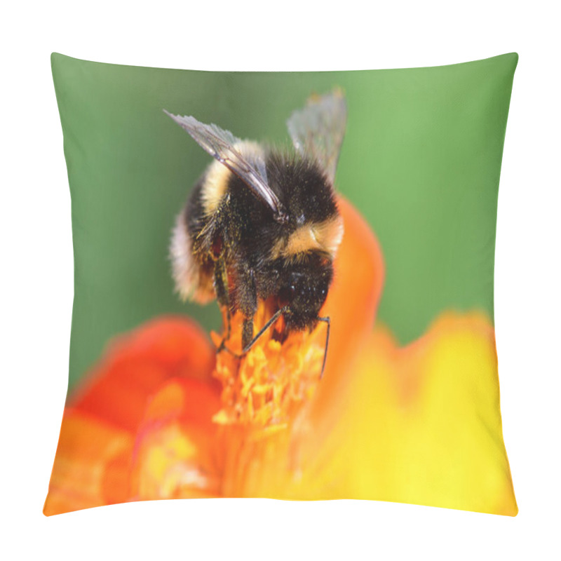 Personality  Bee On An Orange Coreopsis Pillow Covers