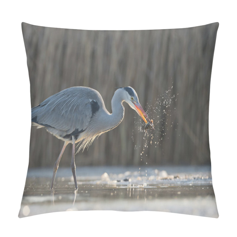 Personality  Grey Heron Standing In The Water Pillow Covers