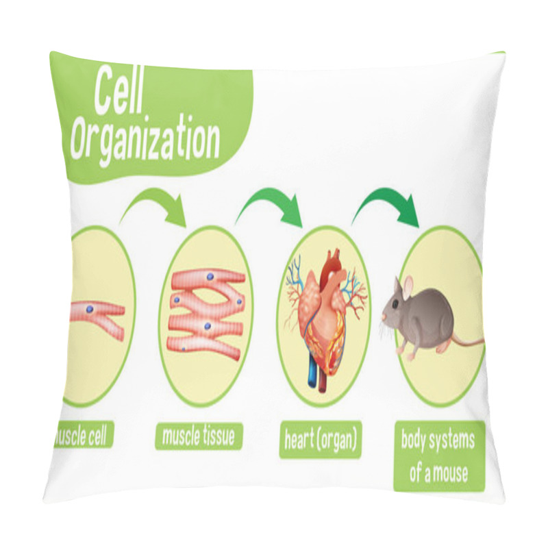 Personality  Diagram Showing Cell Organization In A Mouse Illustration Pillow Covers