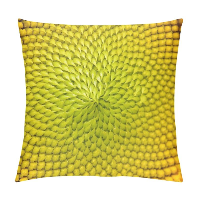 Personality  Beautiful Warm Sunflower Close Pillow Covers