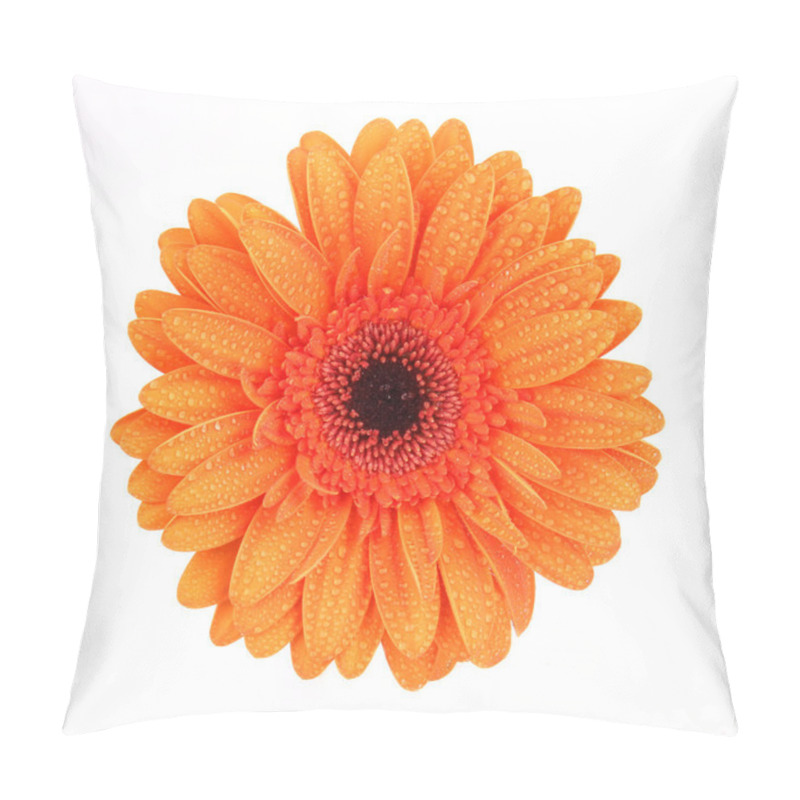 Personality  Gerber Blossom Pillow Covers