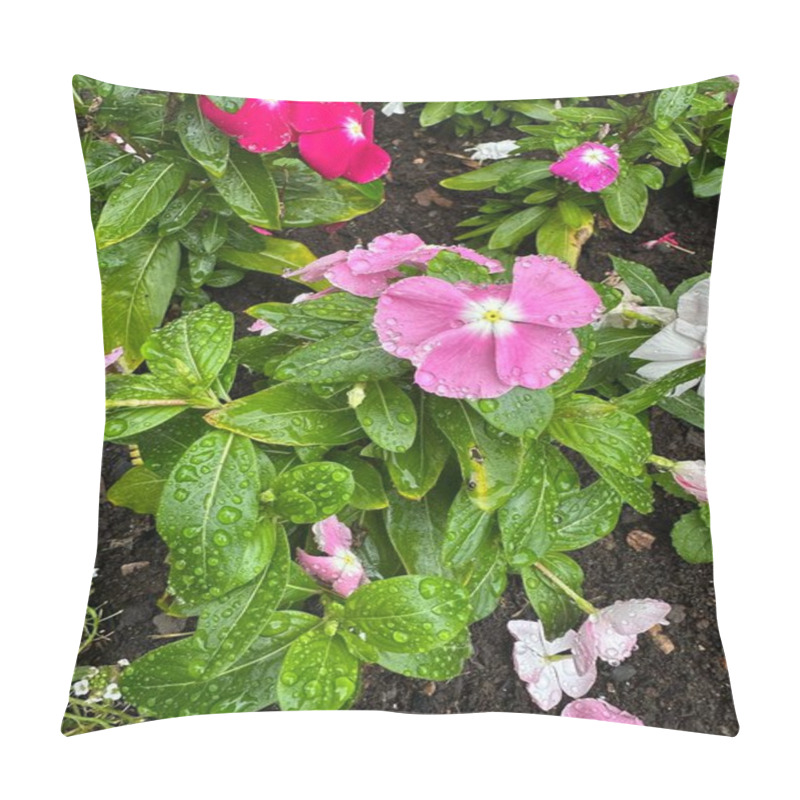 Personality  Vibrant Flowers In Shades Of Pink And White, Adorned With Raindrops, Bloom Among Lush Green Leaves, Creating A Serene Garden Scene That Is Fresh After The Rain. Pillow Covers