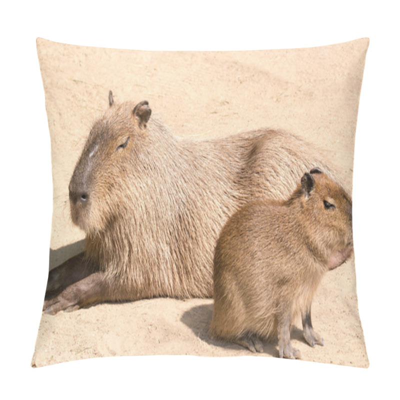 Personality  Capybara (Hydrochoerus Hydrochaeris) Is The Largest Rodent In Th Pillow Covers