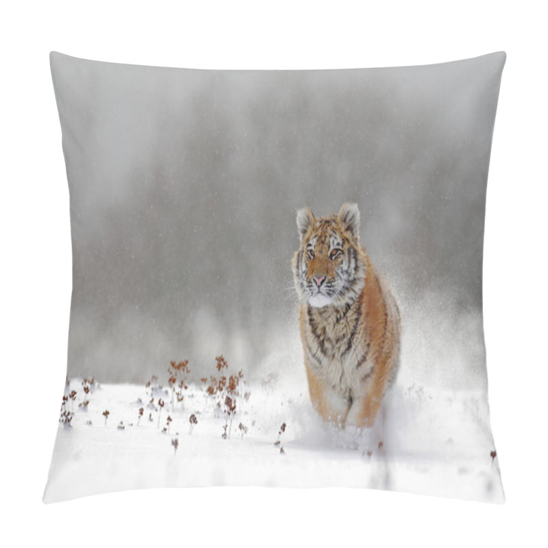 Personality  Siberian Tiger In Snow Forest Pillow Covers