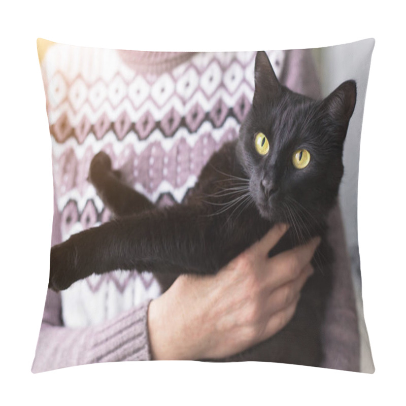 Personality  Beautiful Bombay Black Cat With Yellow Eyes On Owner Hands In Sunlight Pillow Covers