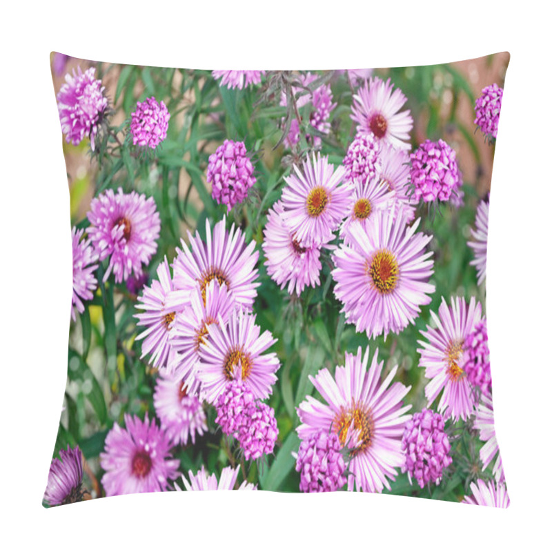 Personality  Chrysanthemum Flowers Pillow Covers