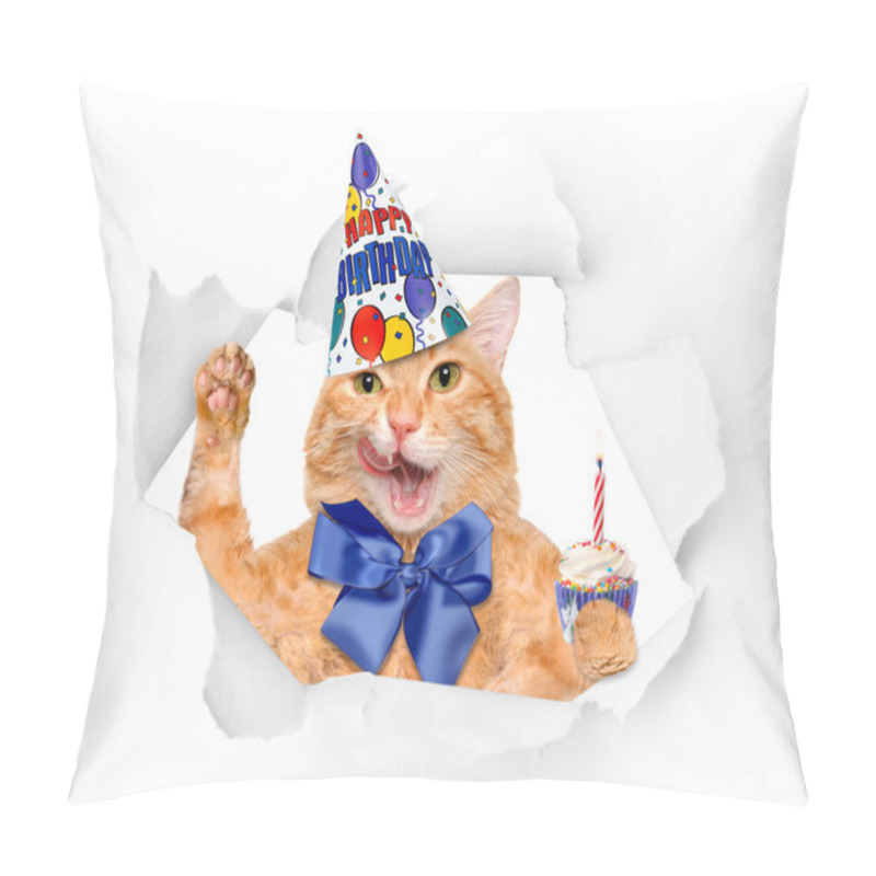 Personality  Birthday Cat . Pillow Covers