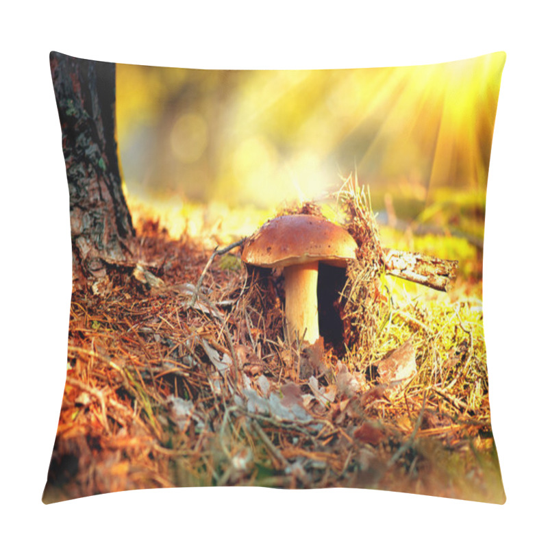 Personality  Cep Mushroom Growing In  Forest. Pillow Covers