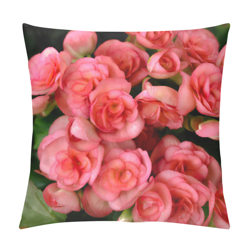 Personality  Begonia Flowers Pillow Covers