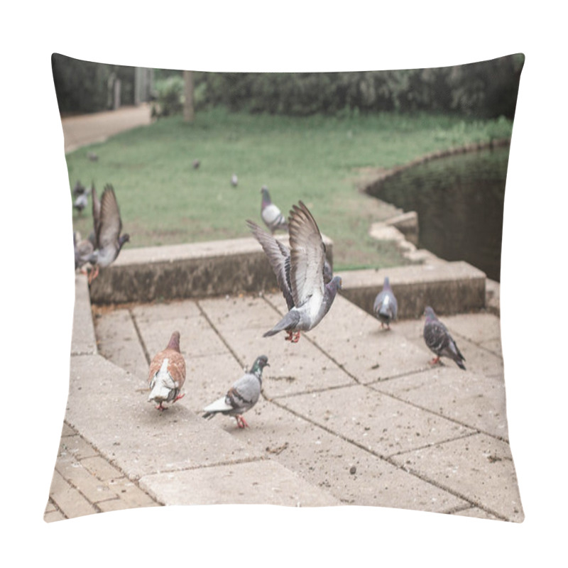 Personality  Pigeons In The Park By The River. Flying Doves Pillow Covers