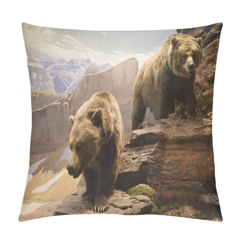 Personality  Grizzly Bears Pillow Covers