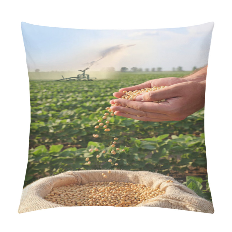 Personality  Soybean Grain In A Hands Of Successful Farmer, In A Background Watering Green Soybean Field, Agricultural Concept. Close Up Of Hands Full Of Soybean Grain In Jute Sack Pillow Covers