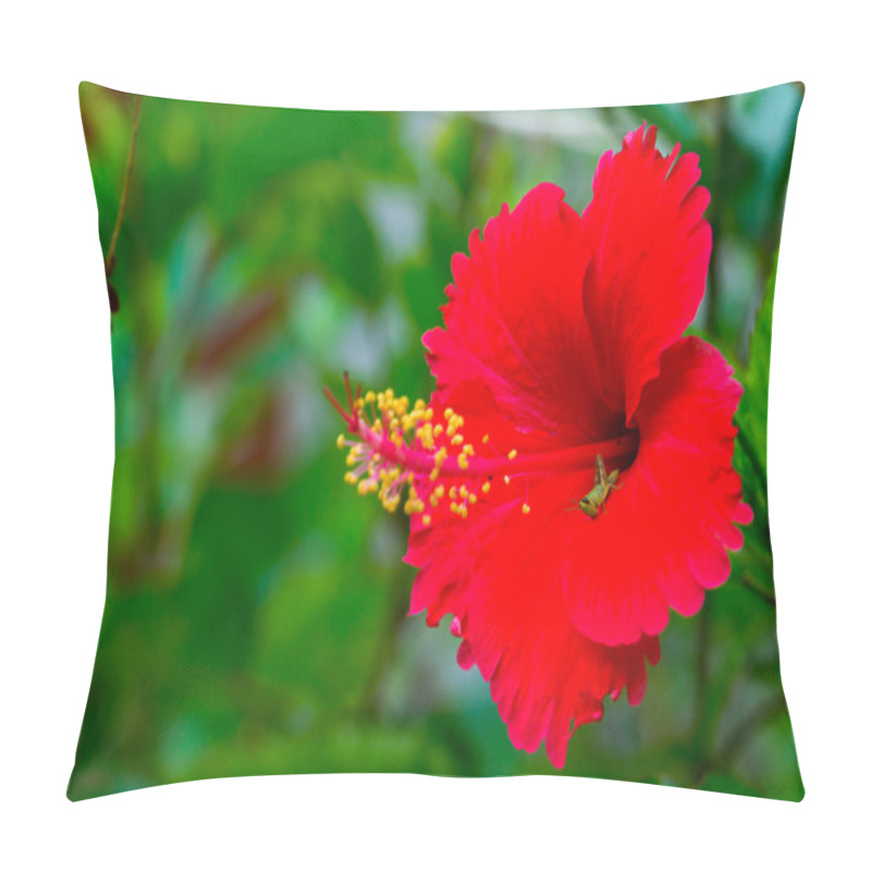 Personality  Red Flower Hibiscus Pillow Covers