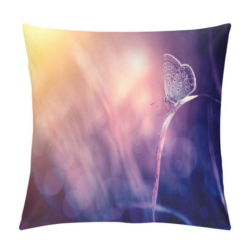 Personality  Butterfly On A Flower Pillow Covers