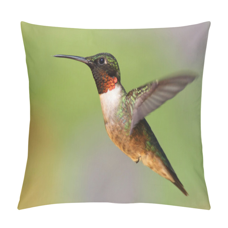 Personality  Ruby-throated Hummingbird (archilochus Colubris) Pillow Covers