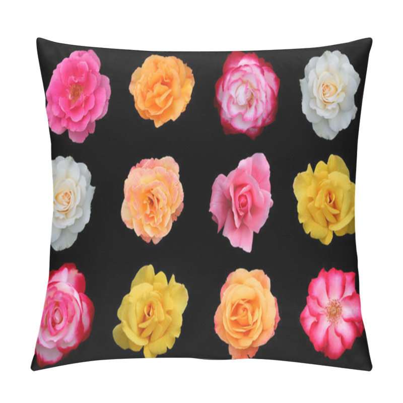 Personality  One Dozen Rose Flower Blossoms Isolated On Black Pillow Covers