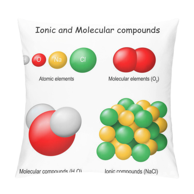 Personality  Ionic And Molecular Compounds. Classification Of Pure Substances Atomic (hydrogen, Oxygen, Chlorine, Sodium), Molecular Oxygen (O2), Water (H2O) And Table Salt Or Sodium Chloride (NaCl). Vector Illustration Pillow Covers