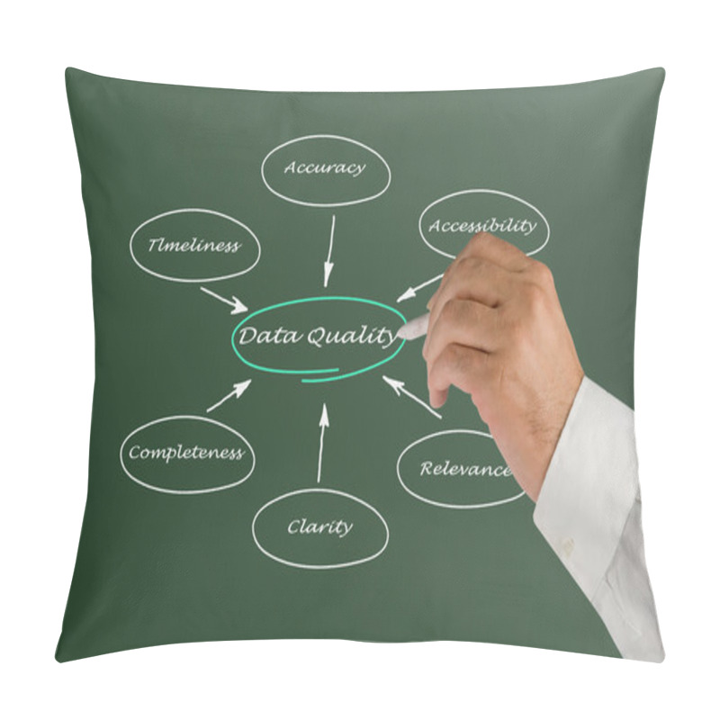 Personality  Diagram Of Data Quality Pillow Covers