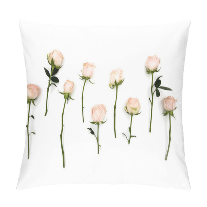 Personality  White Pink Rose Flowers Stems And Leaves. In A Row. Isolated On White Background. View From Above. Flat Lay. View Top. Pillow Covers