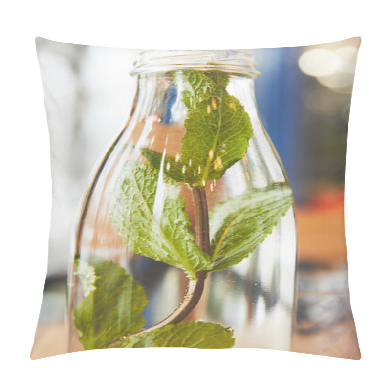 Personality  Green Mint Herb In Glass Bottle With Water Pillow Covers