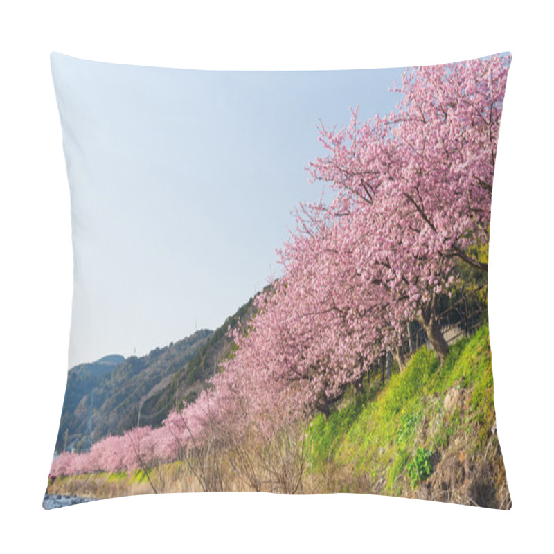 Personality  Blooming Sakura Trees Along River Pillow Covers