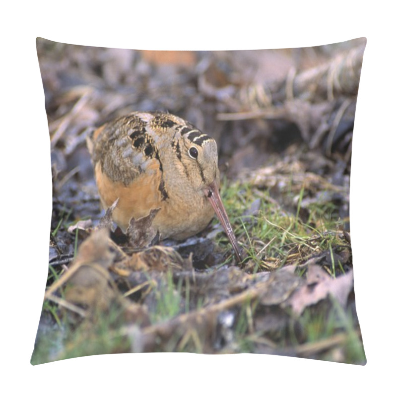 Personality  American Woodcock Bird Pillow Covers