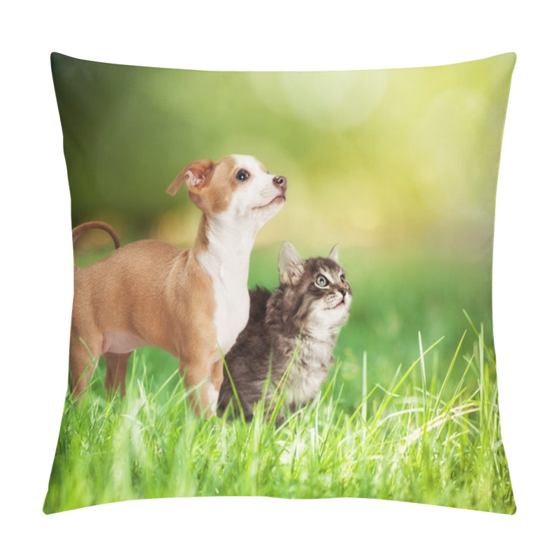 Personality  Kitten And Puppy In Green Grass Pillow Covers