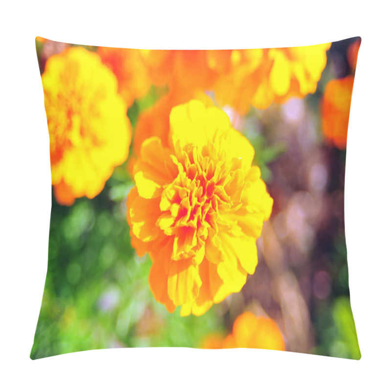 Personality  Marigold Bright Flowers With Green Leaves In The Garden. Flowers Close Up, Growing, Top View. Bright Marigold Flowers From Above. Flora Design, Flower Background, Garden Flowers. Flowers No People. Pillow Covers