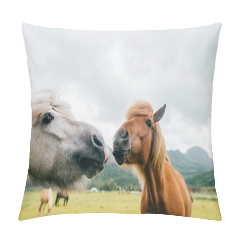 Personality  Wildlife In Norway. Scandinavian Fjord Beautiful Horses On Pasture Eat Grass On Field In Summer Rainy Weather. Cloudy Sky. Mountains On Background. Rocks. Funny Mammal Animals. Rural. Travel. Nature. Pillow Covers