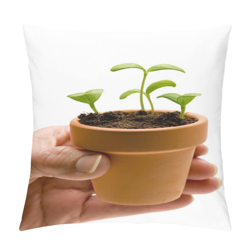 Personality  Hand Holding Small Pot With Seedlings Pillow Covers