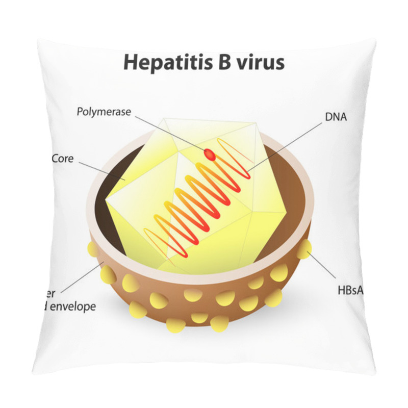 Personality  Hepatitis B Virus Structure Pillow Covers