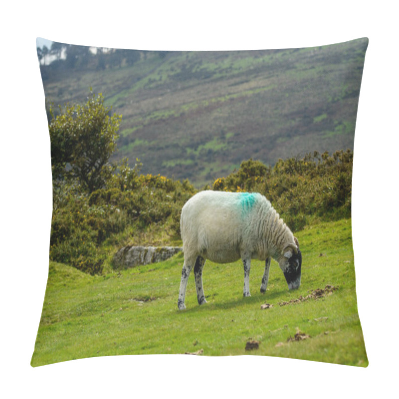 Personality  Horned Sheep Grazing On Moorland At Dartmoor National Park. Pillow Covers