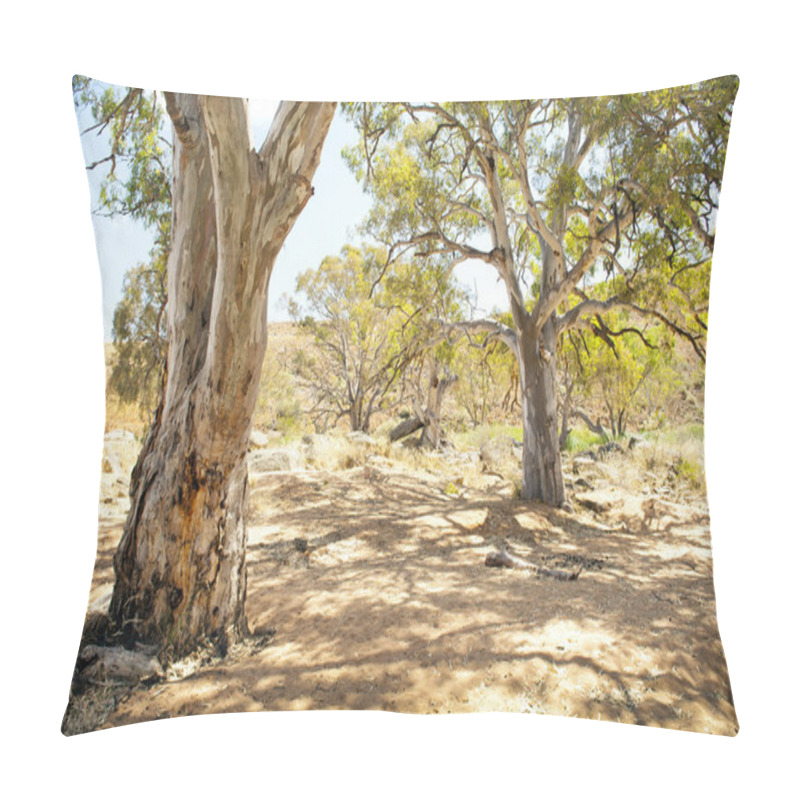 Personality  Australian Outback Oasis Pillow Covers