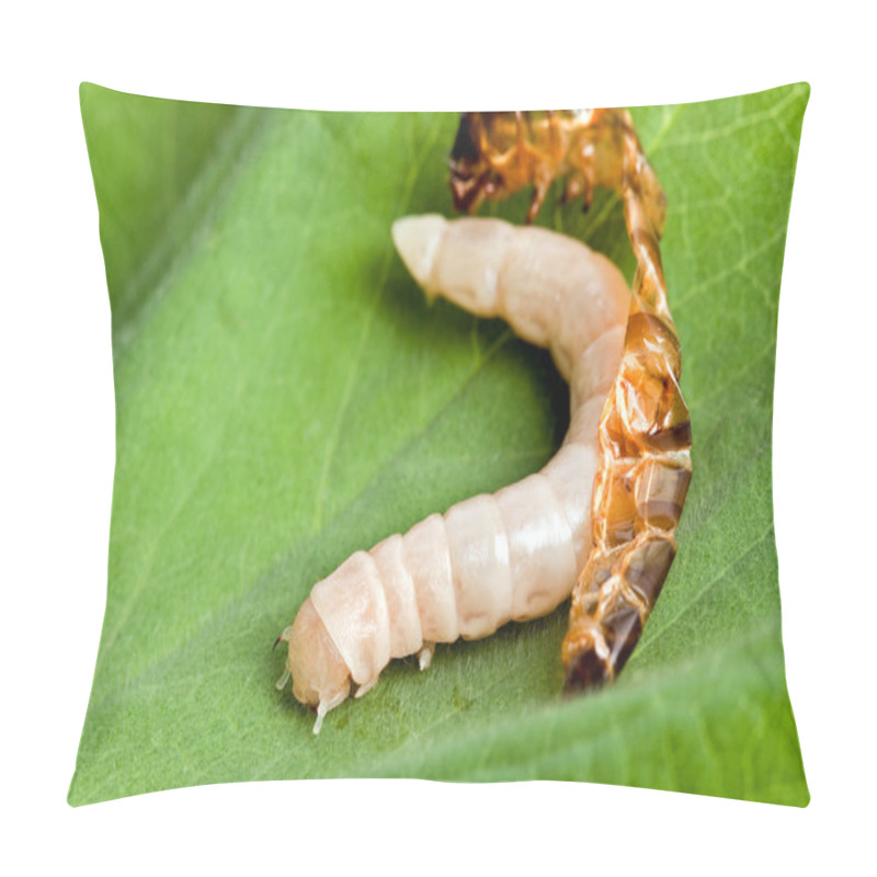 Personality  Worm Shedding Skin Pillow Covers