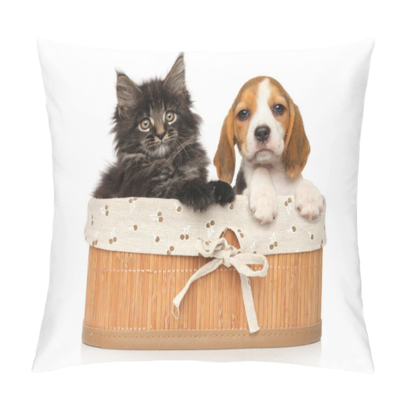 Personality  Maine-coon Kitten And Beagle Puppy Together In Basket On A White Background Pillow Covers