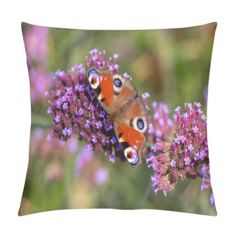 Personality  European Peacock Butterfly (Aglais Io, Inachis Io) Feeds On Buddleia Pillow Covers