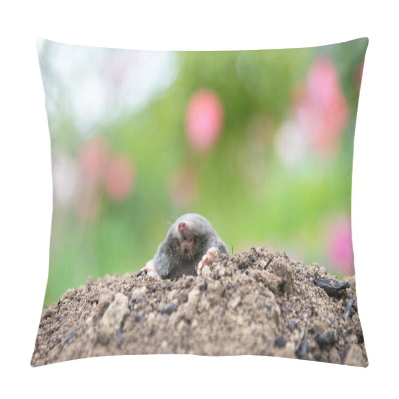 Personality  European Mole Crawling Out Of Molehill Above Ground, Showing Strong Front Feet Used For Digging Underground Tunnels Pillow Covers