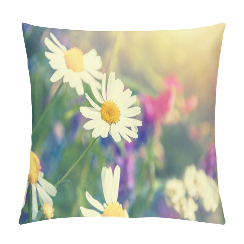 Personality  Daisies In The Field Pillow Covers