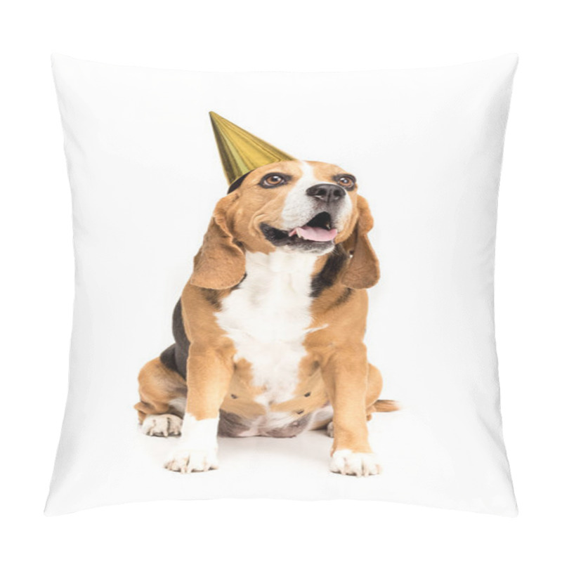 Personality  Dog In Party Hat   Pillow Covers