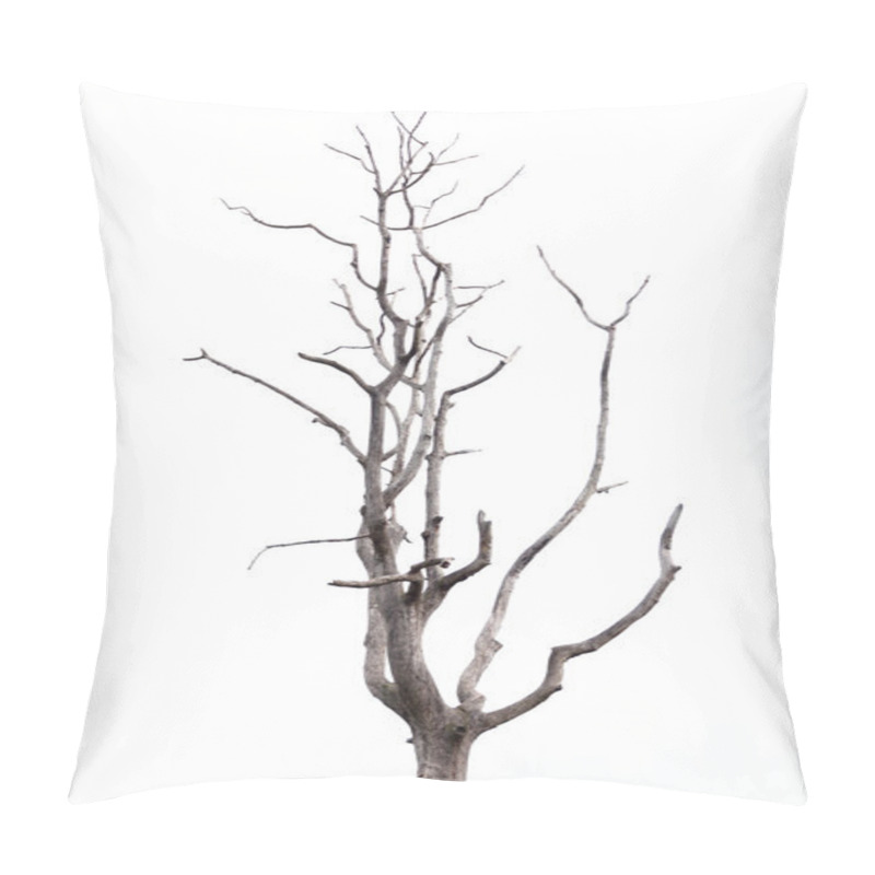 Personality  Dead Tree On White Background. Pillow Covers