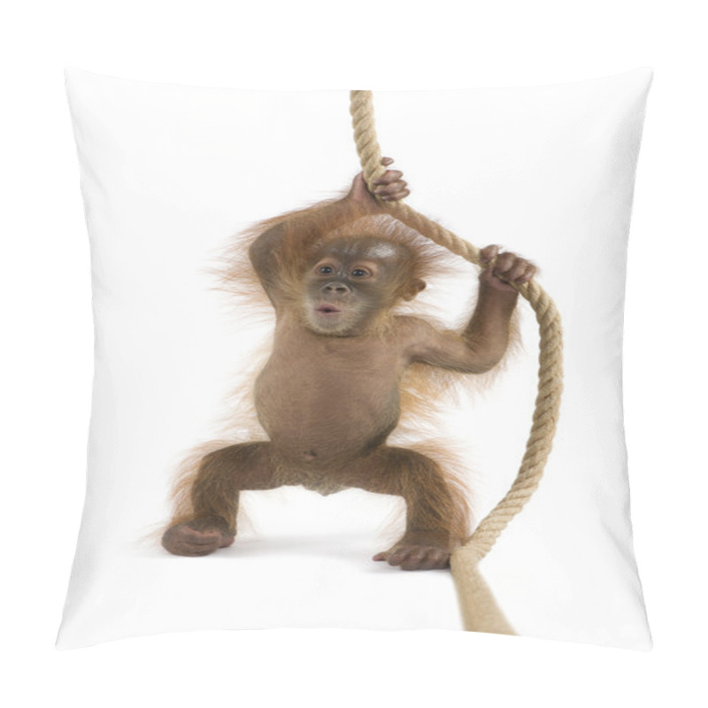 Personality  Baby Sumatran Orangutang (4 Months Old) Pillow Covers