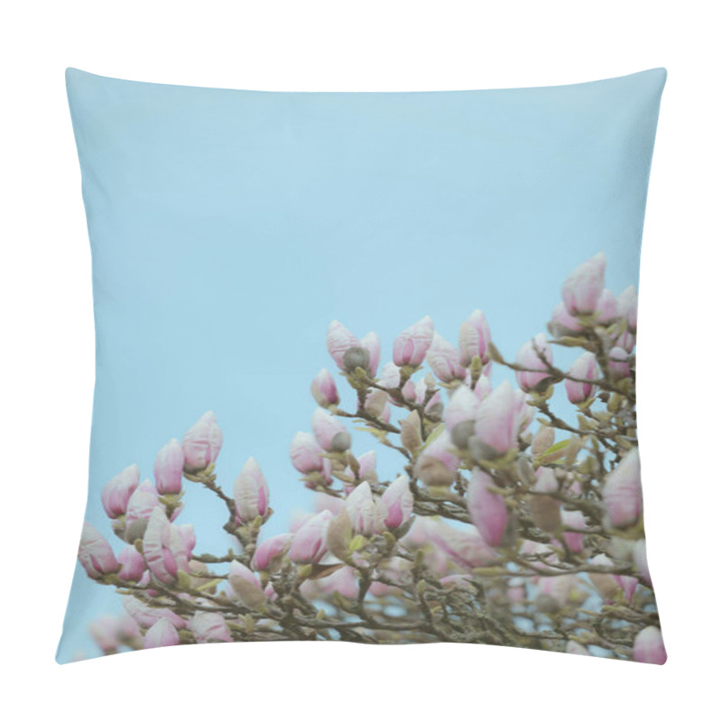 Personality  Delicate Pink Magnolia Buds Against A Serene Blue Sky. Pillow Covers