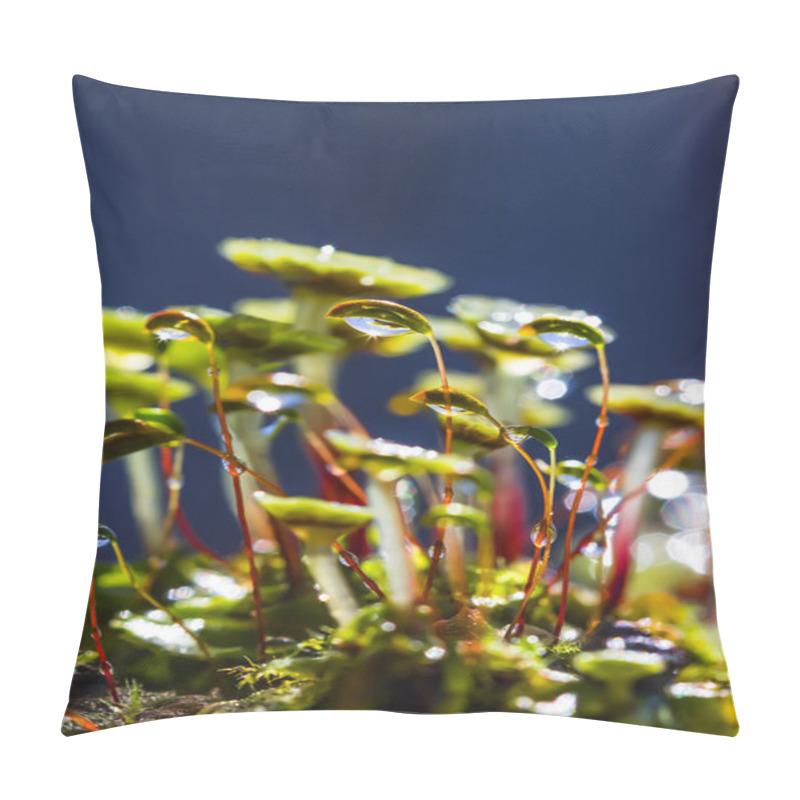 Personality  Spread Moss Family, And Mosses, Or Mosses Are Present, Or Bryoph Pillow Covers