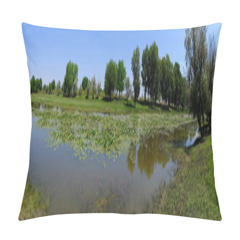 Personality  Water Lilies On A River In Russia Pillow Covers