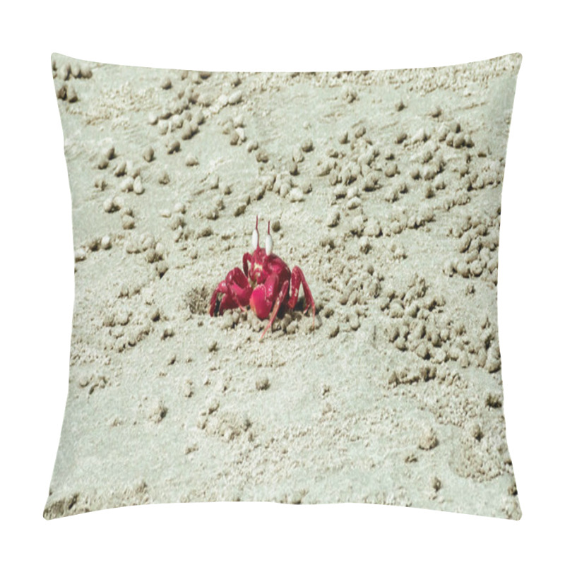 Personality  Christmas Island Red Crab (Gecarcoidea Natalis), A Brachyura Land Crab Or Red Crazy Ant Shellfish Gecarcinidae Species That Is Endemic To Christmas Island And Cocos (Keeling) Islands In Indian Ocean. Pillow Covers