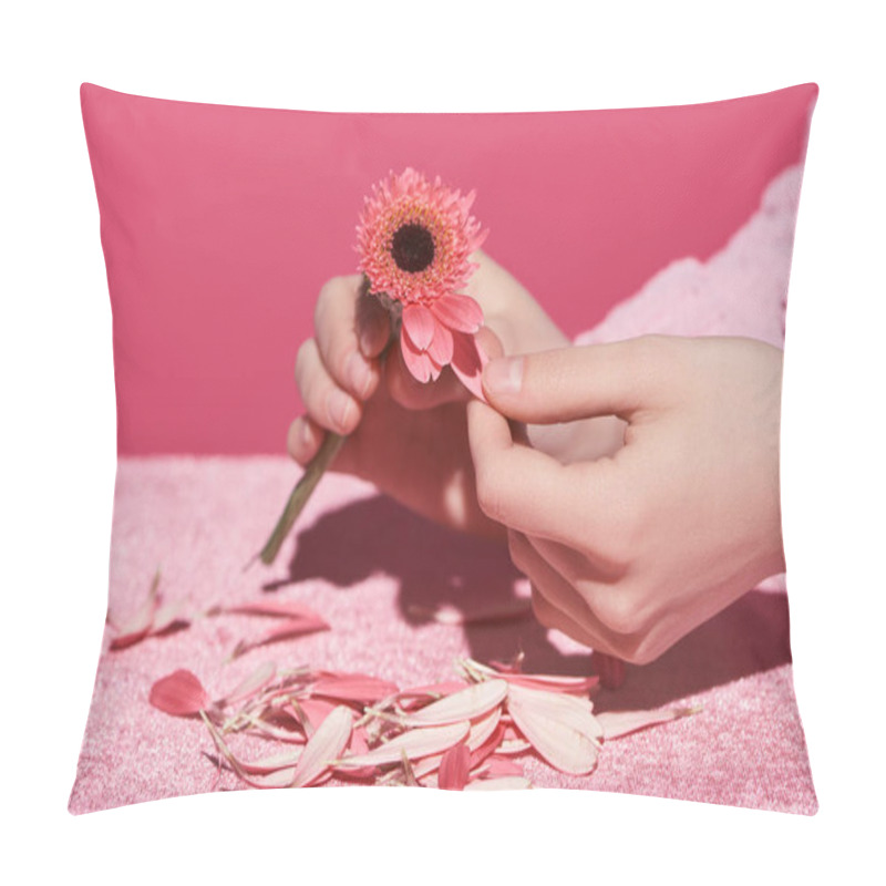 Personality  Cropped View Of Woman Picking Out Gerbera Petals On Velour Cloth Isolated On Pink, Girlish Concept  Pillow Covers